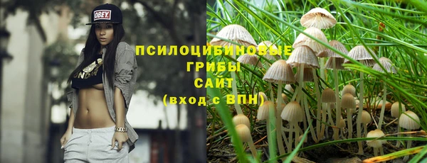 стафф Осинники