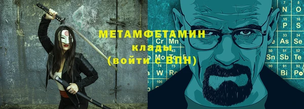 гидра Елизово