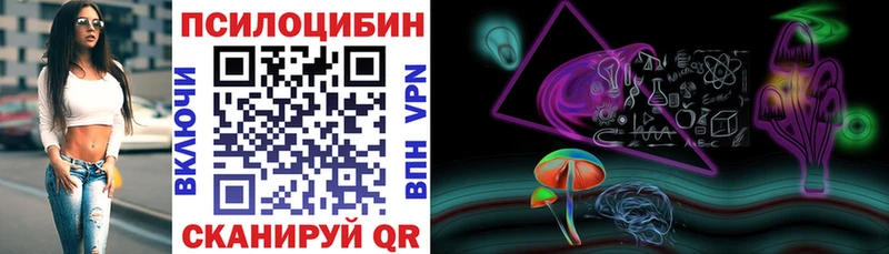 Псилоцибиновые грибы Psilocybe  Асбест 
