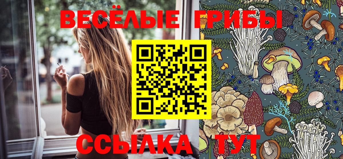 Мяу-Мяу  Асбест  Цена  Cocaine  Вход с VPN  МЕФ  ГАШИШ  МАРИХУАНА  Марихуана 